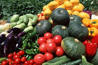 亳州农副产品 食品互联网销售，物优价廉省时省力省心