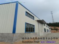 现货供应南丰蜜桔 打通农副产品与互联网销售的桥梁