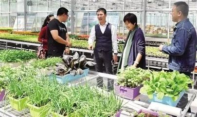 休闲农庄的农副产品如何做销售，这五种方式带飞农产品营销！