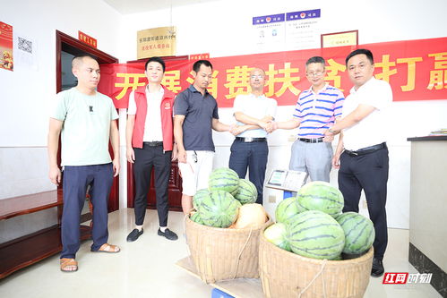 最美的答卷 衡阳市珠晖区决战决胜脱贫攻坚工作纪实与食品互联网销售的创新实践