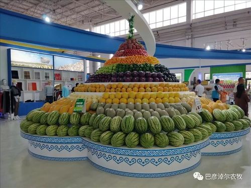 第六届内蒙绿博会观察 巴彦淖尔农畜产品何以持续热销？